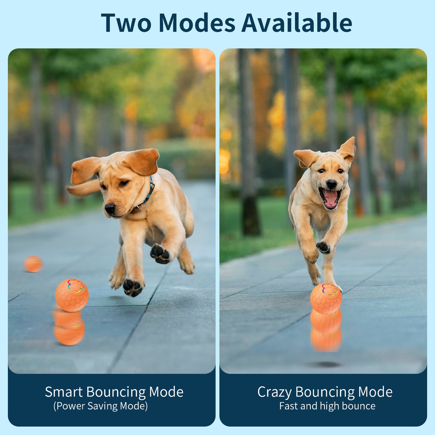 Automatic Moving Cat Toy Ball
