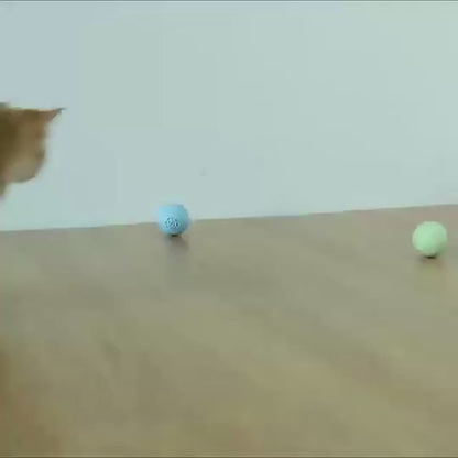 New Self-Hi Pussy Cat Music Ball Sounds And Bites Toys