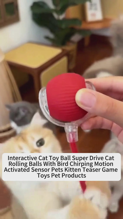 Interactive Cat Toy Ball Super Drive Cat Rolling Ball